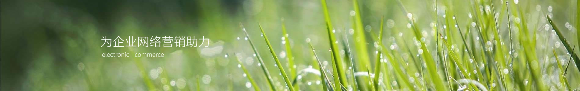 ŵάؾƼ޹˾